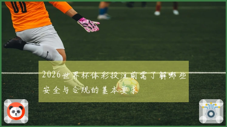 2026世界杯体彩投注前需了解哪些安全与合规的基本要求