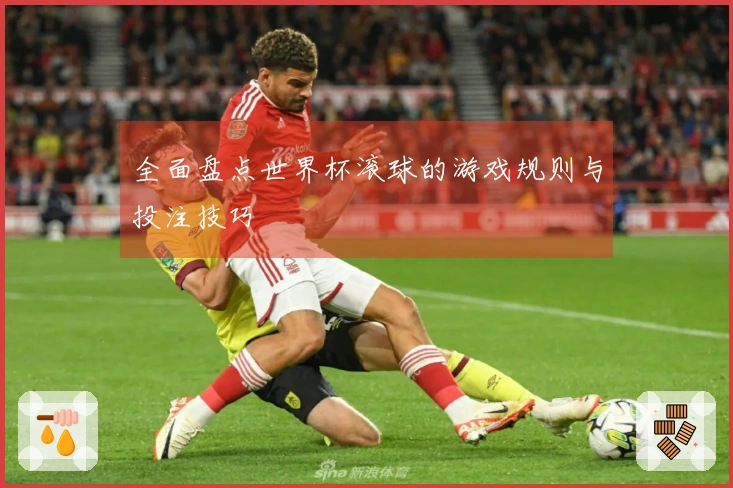 全面盘点世界杯滚球的游戏规则与投注技巧