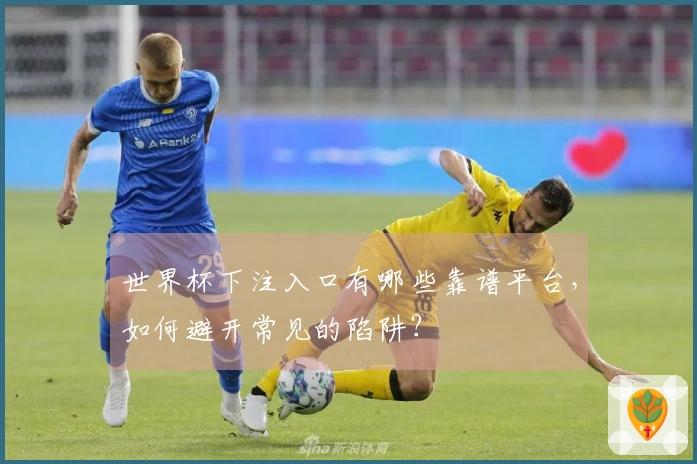 世界杯下注入口有哪些靠谱平台，如何避开常见的陷阱？