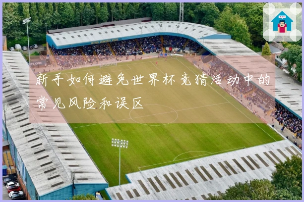 新手如何避免世界杯竞猜活动中的常见风险和误区