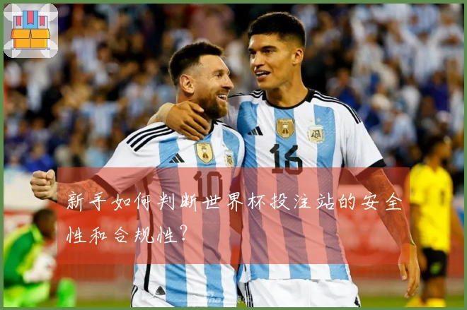 新手如何判断世界杯投注站的安全性和合规性？