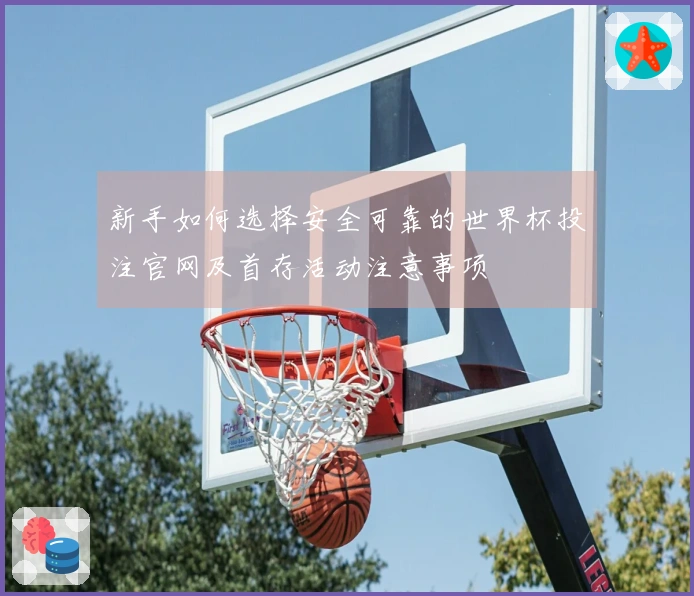 新手如何选择安全可靠的世界杯投注官网及首存活动注意事项