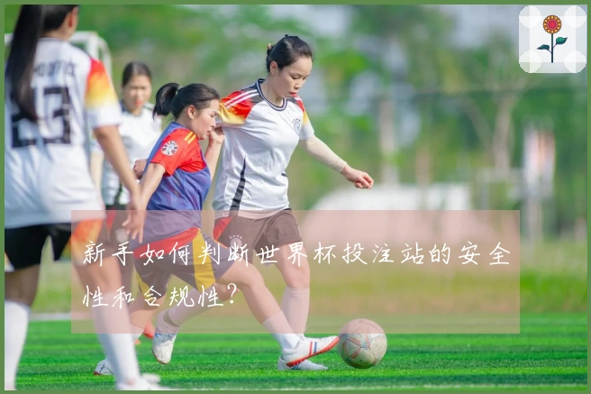 新手如何判断世界杯投注站的安全性和合规性？