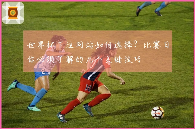 世界杯下注网站如何选择？比赛日你必须了解的几个关键技巧