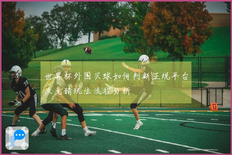 世界杯外围买球如何判断正规平台及竞猜玩法流程分析