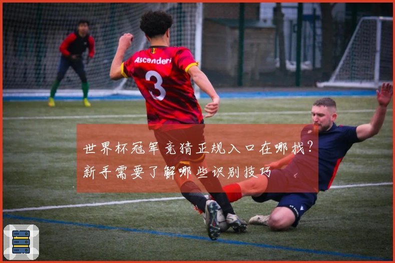 世界杯冠军竞猜正规入口在哪找？新手需要了解哪些识别技巧