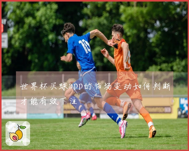 世界杯买球app的临场变动如何判断才能有效下注