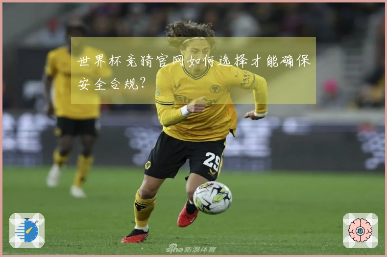 世界杯竞猜官网如何选择才能确保安全合规？